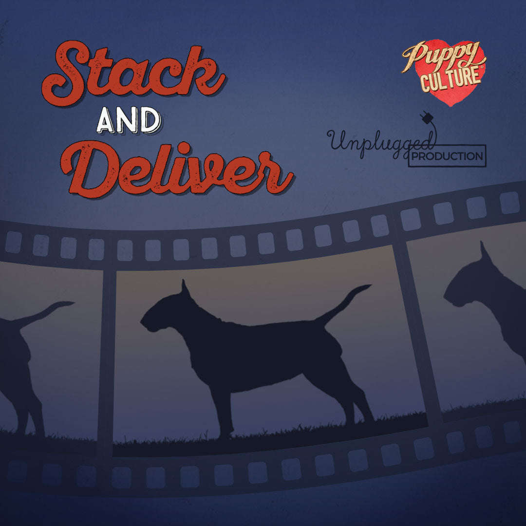 Essentials for Puppy Owners - Show Package